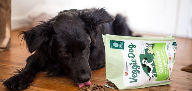 Vleesvrije voeding voor honden: hoe werkt dat? – Green Petfood