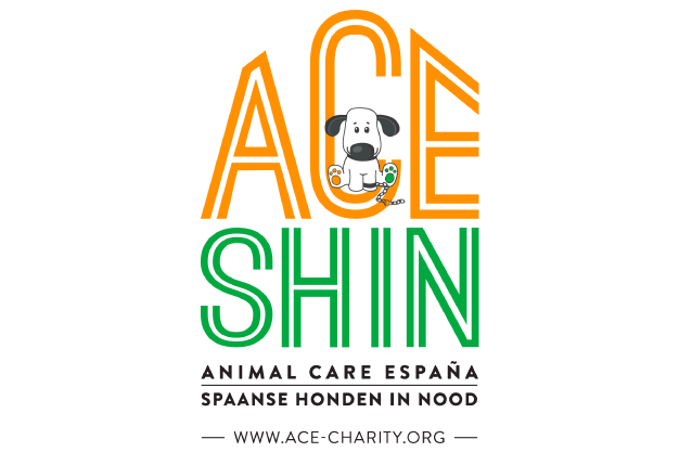 logo ACE|SHIN Charity