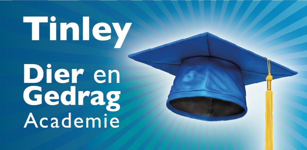 logo Tinley Academie