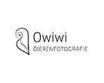 owiwi 150x2-