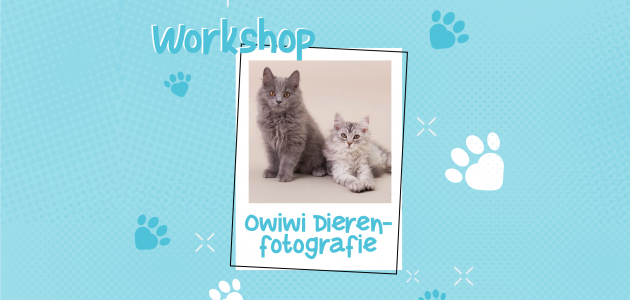 Die­ren­fo­to­gra­fie Workshop: Ontdek & Fotografeer met Norma Jesse (Owiwi Dierenfotografie)